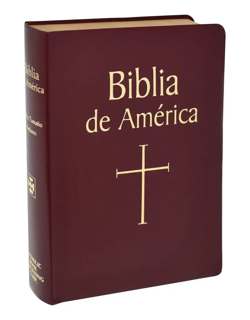 Catholic Book Publishing Corp Biblia De America - Burgundy Imitation Leather