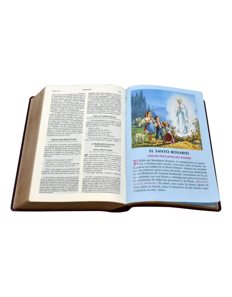 Catholic Book Publishing Corp Biblia De America - Burgundy Imitation Leather