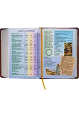 Catholic Book Publishing Corp St. Joseph New Catholic Bible (Brown Giant Type)