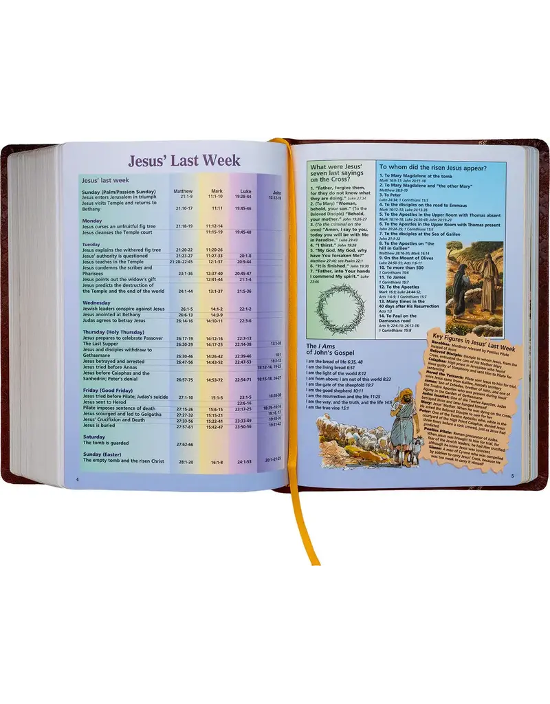 Catholic Book Publishing Corp St. Joseph New Catholic Bible (Brown Giant Type)