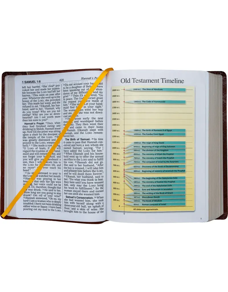 Catholic Book Publishing Corp St. Joseph New Catholic Bible (Brown Giant Type)