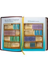 Catholic Book Publishing Corp St. Joseph New Catholic Bible (Brown Giant Type)