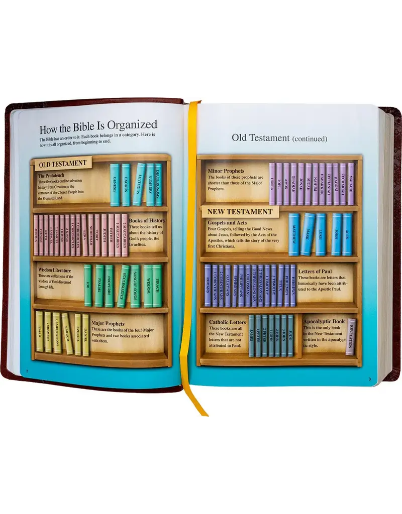 Catholic Book Publishing Corp St. Joseph New Catholic Bible (Brown Giant Type)