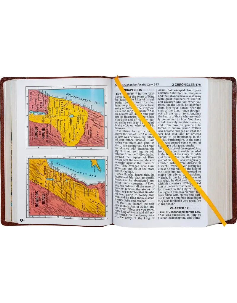 Catholic Book Publishing Corp St. Joseph New Catholic Bible (Brown Giant Type)