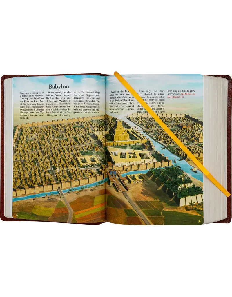 Catholic Book Publishing Corp St. Joseph New Catholic Bible (Brown Giant Type)