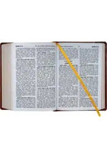 Catholic Book Publishing Corp St. Joseph New Catholic Bible (Brown Giant Type)