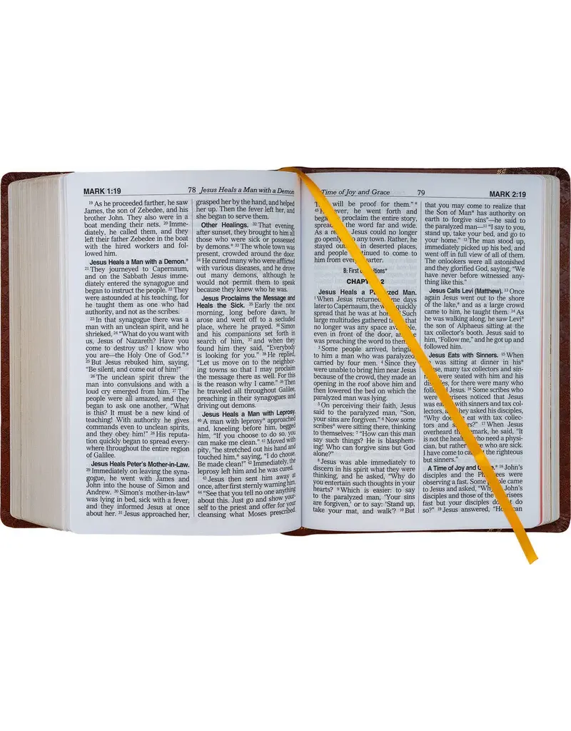 Catholic Book Publishing Corp St. Joseph New Catholic Bible (Brown Giant Type)