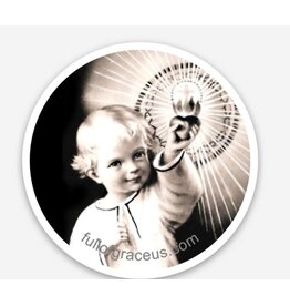 The Retro- A Full of Grace USA Company "See, O See How I Love Thee" Round Decal