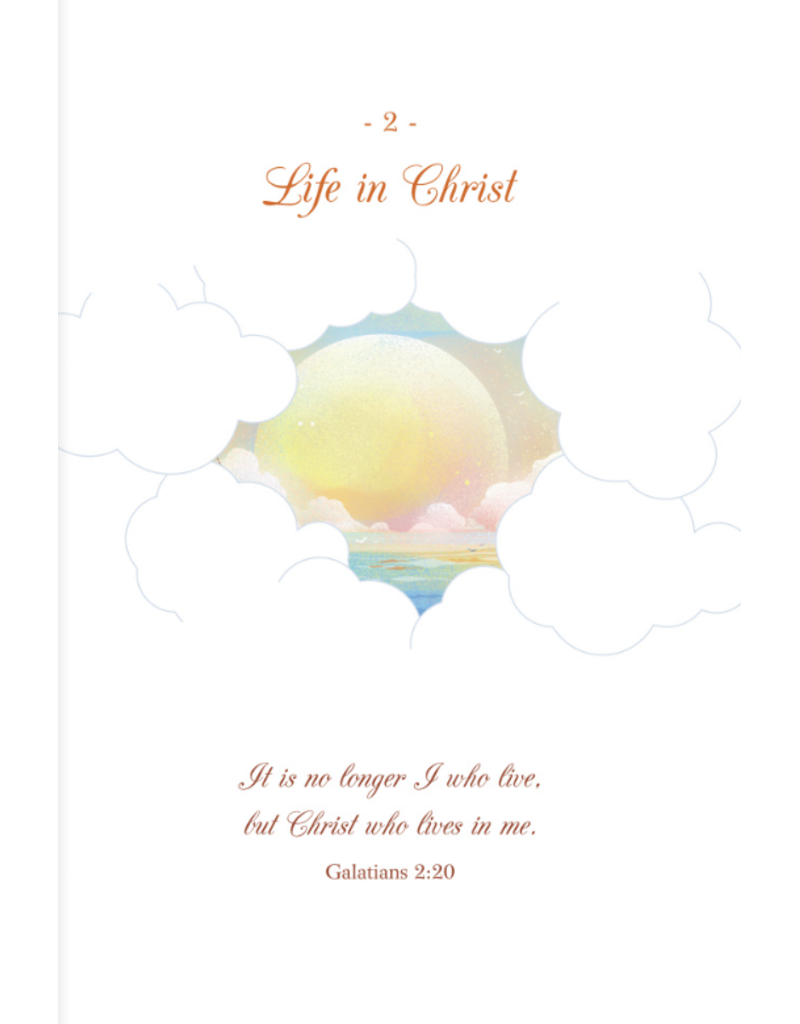 The Tree Planted in the Sea: A Journey with the Apostle Paul