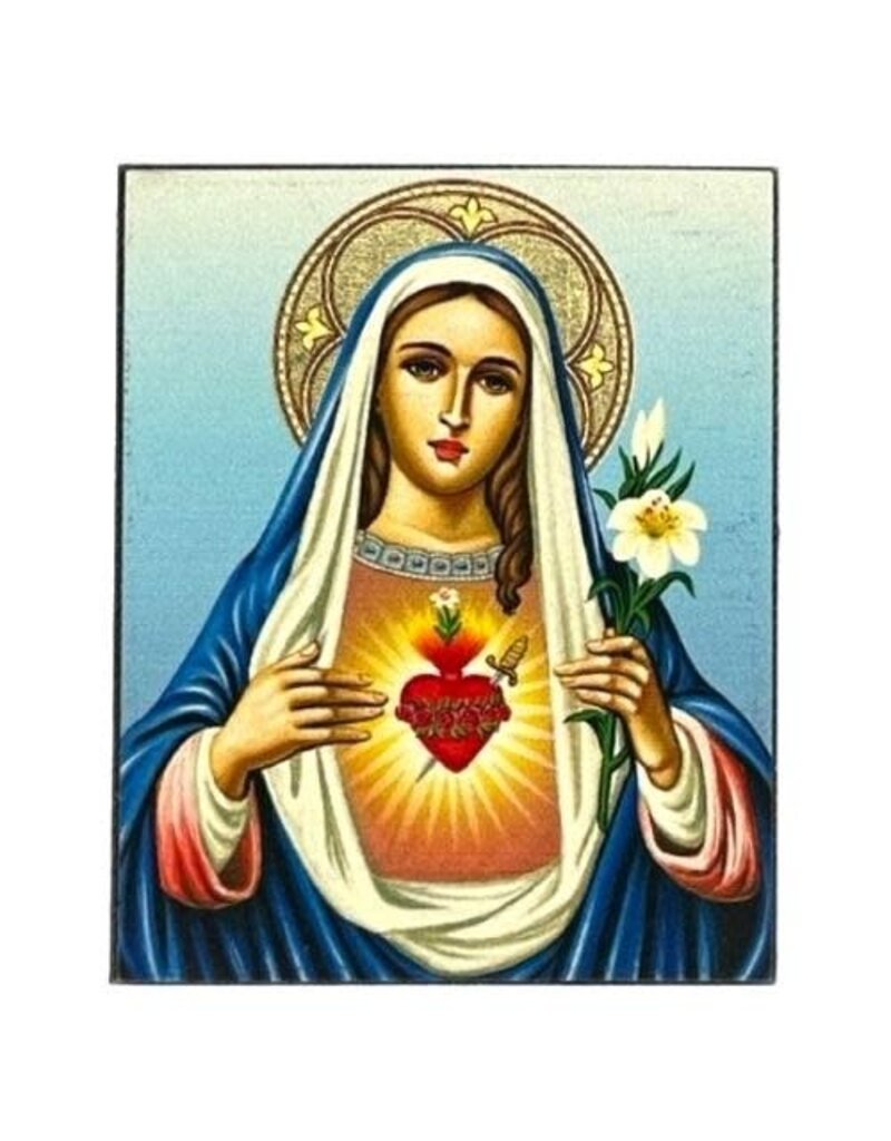 Immaculate Heart of Virgin Mary Silk Screen Icon Magnet