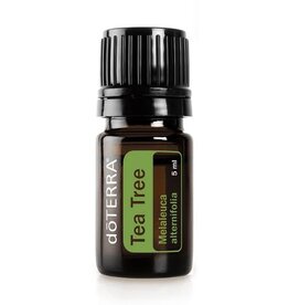 doTerra Tea Tree Oil | doTerra 5mL