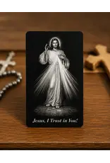 Divine Mercy Jesus - Metal Prayer Card