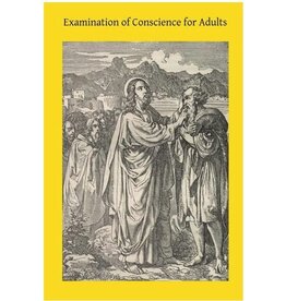 Createspace Independent Publishing Platform Examination of Conscience for Adults: A Comprehensive Examination Of Conscience Based On Twelve Virtues For The Twelve Months Of The Year