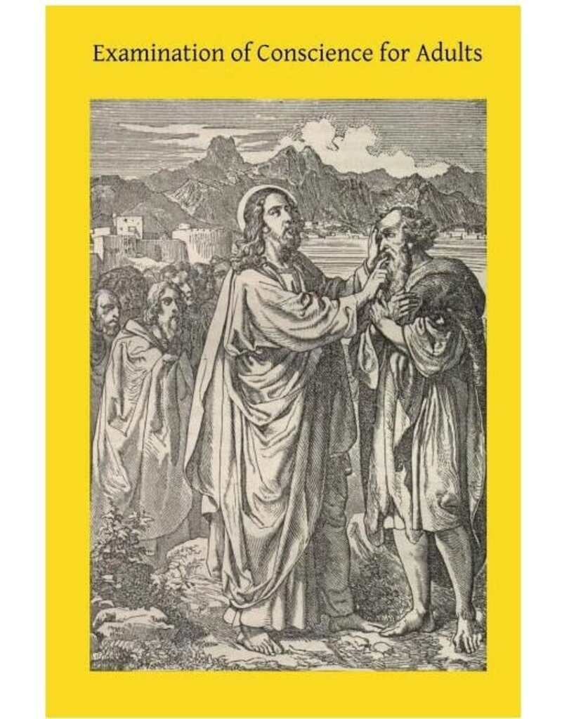 Createspace Independent Publishing Platform Examination of Conscience for Adults: A Comprehensive Examination Of Conscience Based On Twelve Virtues For The Twelve Months Of The Year
