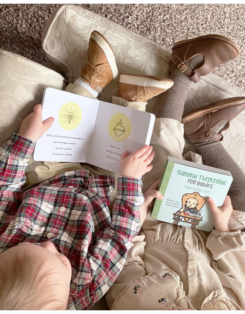 Tan Books Summa Theologiae for Babies: Prima Secundæ Partis