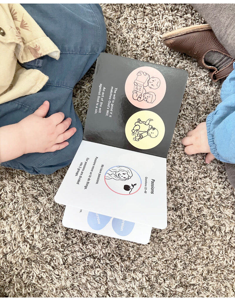 Tan Books Summa Theologiae for Babies: Prima Secundæ Partis