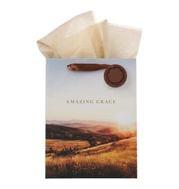 Christian Art Gifts Amazing Grace Gift Bag - Large