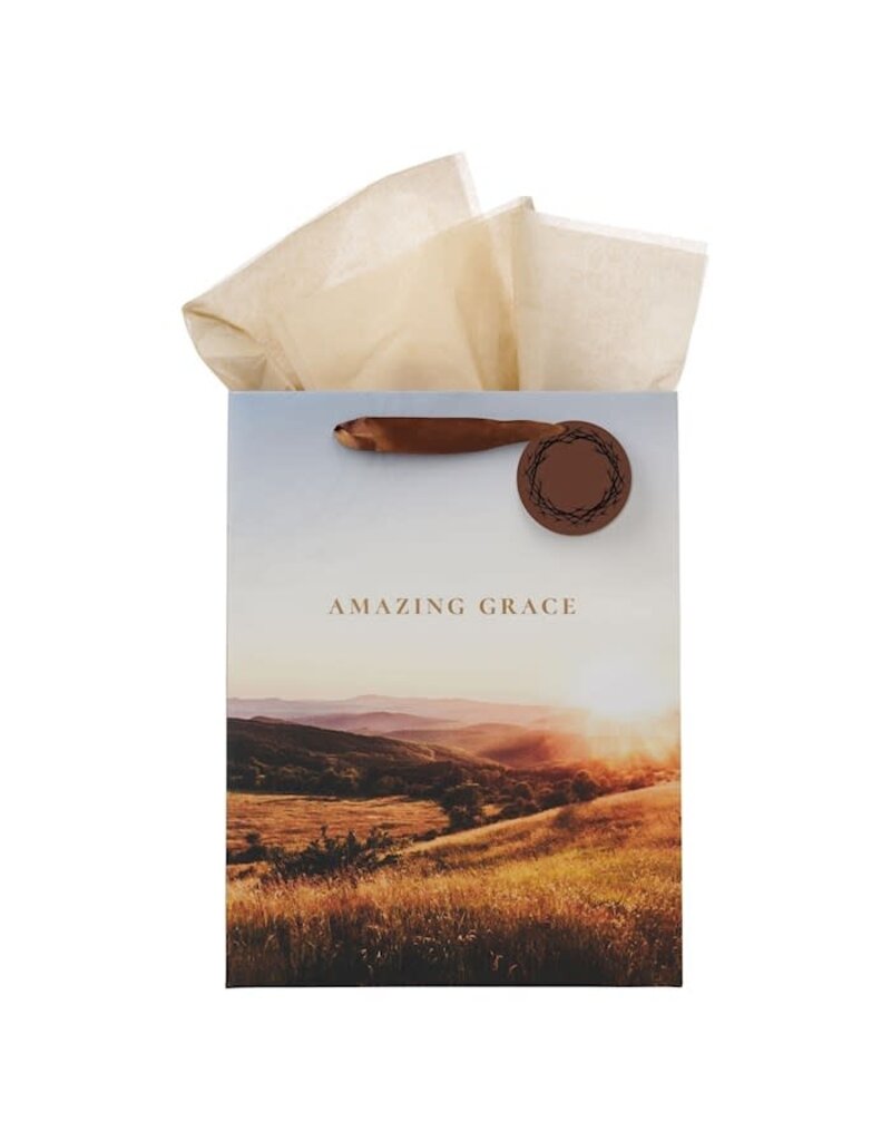 Christian Art Gifts Amazing Grace Gift Bag - Large