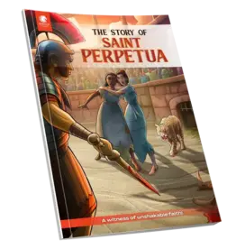 Brother Francis The Story of Saint Perpetua - A Graphic Novel