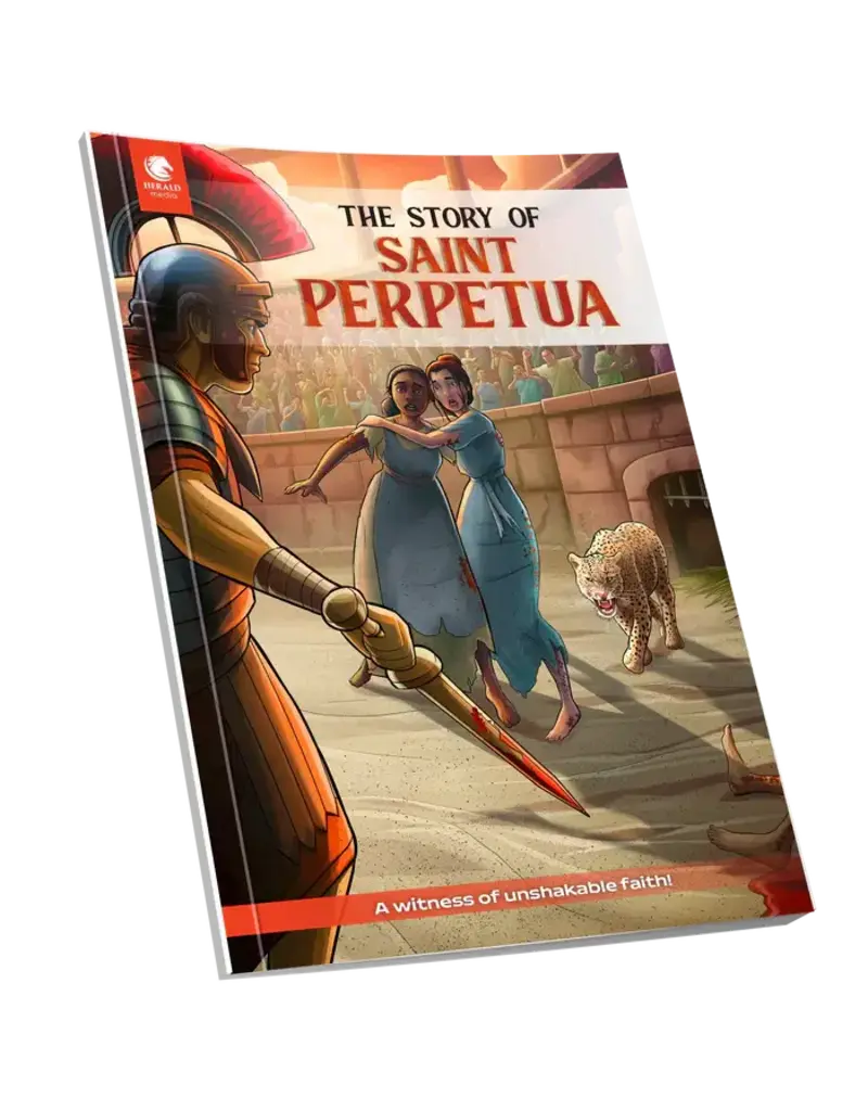 Brother Francis The Story of Saint Perpetua - A Graphic Novel