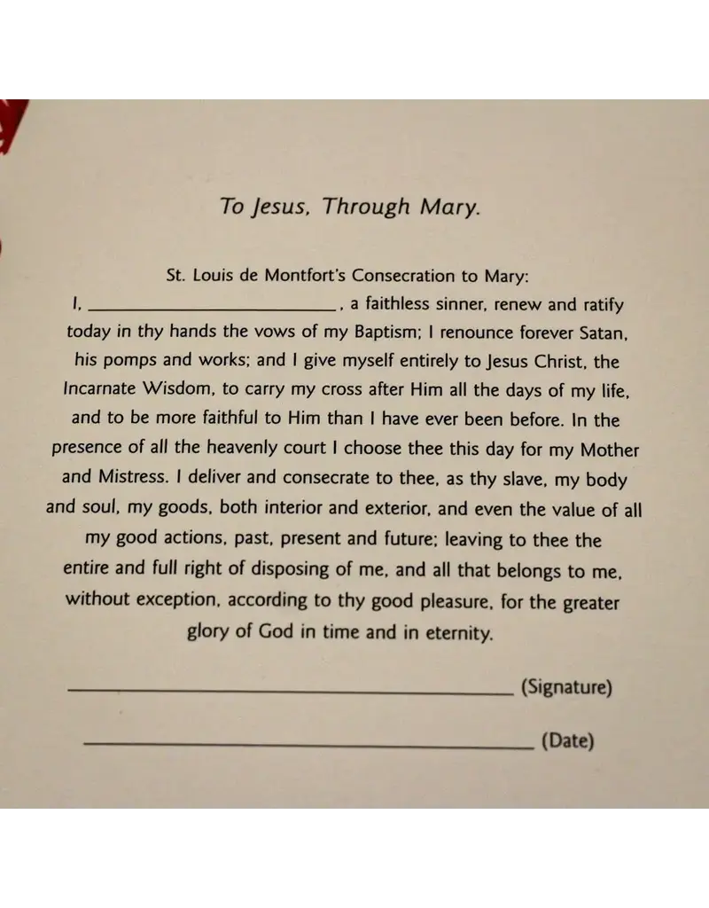 Full of Grace USA To Jesus, Through Mary | Marian Consecration Journal