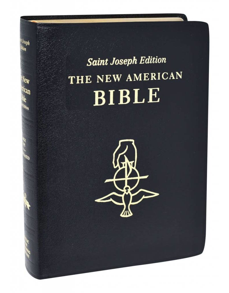 Catholic Book Publishing Corp Large Print New American Bible Black Leather St. Joseph Edition