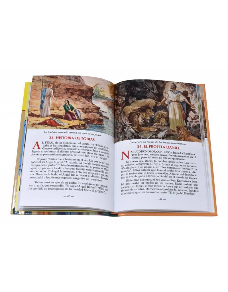 Catholic Book Publishing Corp La Biblia Ilustrada