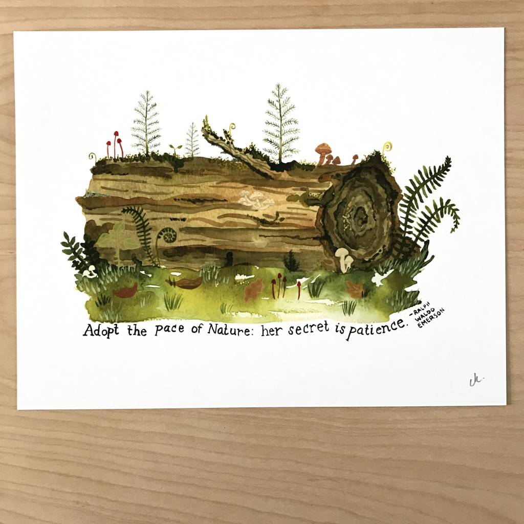 little truths print nurse log art 8 1 2 x 11 tart 2 x 11