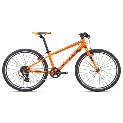 Giant Youth ARX Bicycle 2019