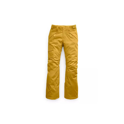 The North Face Women's Freedom Insulated Pants 2020