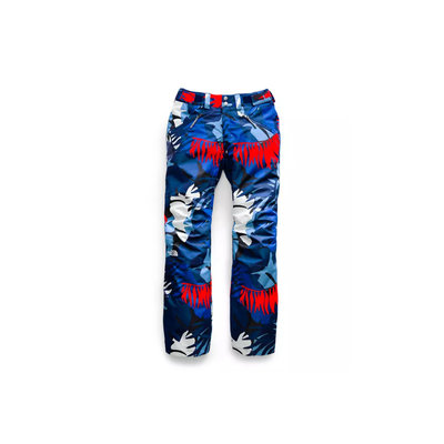 The North Face Aboutaday Pants 2020