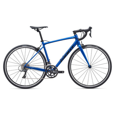 Giant Contend 3 2020