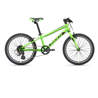 Giant Kids' ARX 20 Bicycle 2020