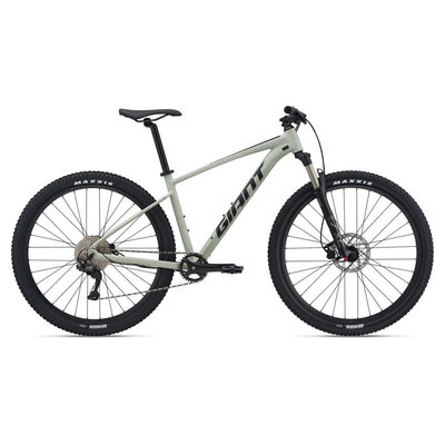 Giant Talon 1 Mountain Bike 2021