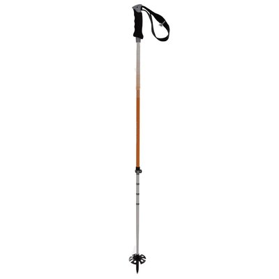 Volkl Touristick AA Ski Poles 2021
