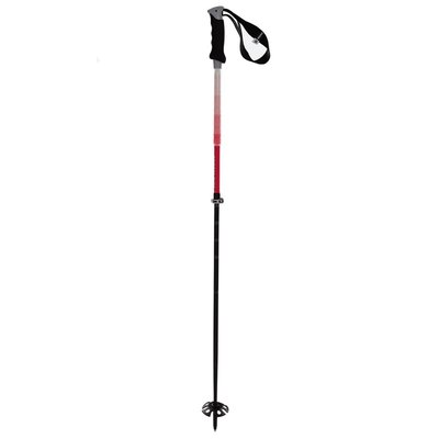 Volkl Touristick AC Ski Poles 2021