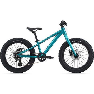 Liv STP 20 Mountain Bike 2021