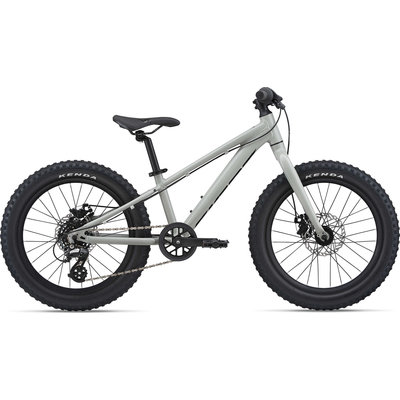 Giant STP 20 Mountain Bike 2021