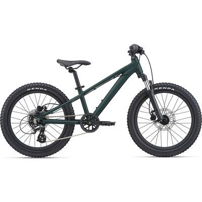 Giant STP 20 FS Mountain Bike 2021