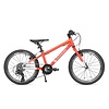 Cycle Kids 20" Kids Bike (D)