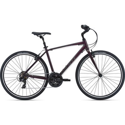 Giant Escape Comfort Bike 2021