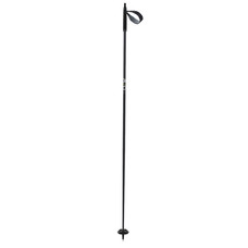 Fischer BC Offtrack Cross Country Ski Poles 2024