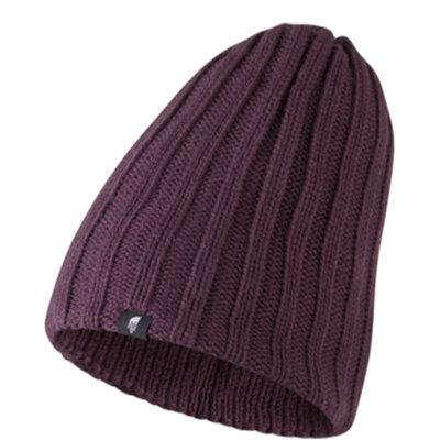 North Face Shinsky Beanie 