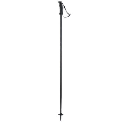 Elan Speedrod Downhill Ski Poles 2023