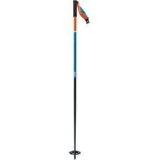 Swix The Stick Alpine Ski Poles