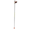 Fischer Storm 6 Carbon XC Poles 2022