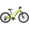 Cannondale Kids' Trail 20 Bike 2023