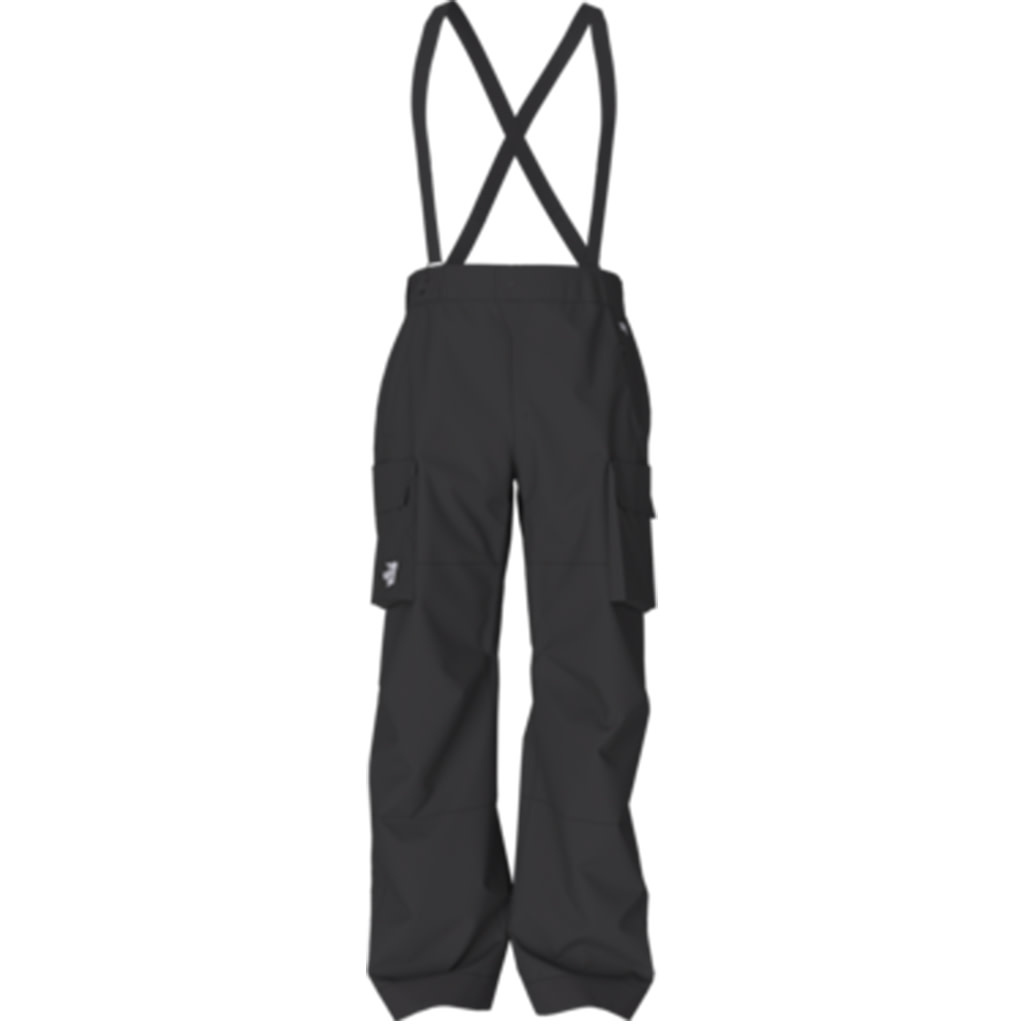 The North Face The North Face Sidecut GTX Pants 2024