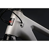Santa Cruz Blur 4 Carbon C 29 GX AXS RSV Kit Mountain Bike 2024