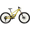 Cannondale Jekyll 1 Mountain Bike 2024